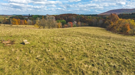 Offering #4 Farmland for Sale at Auction in Floyd VA - image 4