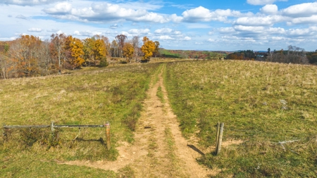 Offering #4 Farmland for Sale at Auction in Floyd VA - image 2