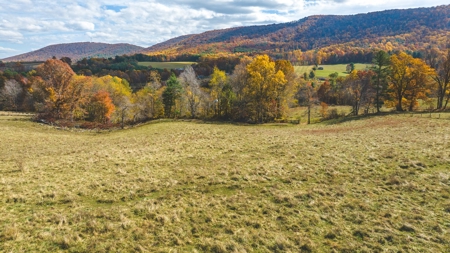 Offering #4 Farmland for Sale at Auction in Floyd VA - image 5