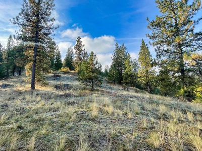 Well, Septic, driveway, building pad are in on 4.39 Ac! - image 40