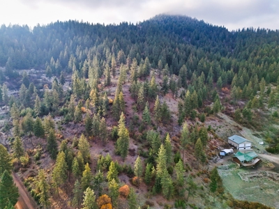 Well, Septic, driveway, building pad are in on 4.39 Ac! - image 23