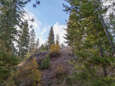 Well, Septic, driveway, building pad are in on 4.39 Ac! - image 17
