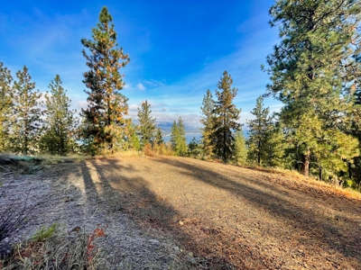 Well, Septic, driveway, building pad are in on 4.39 Ac! - image 30