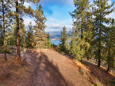 Well, Septic, driveway, building pad are in on 4.39 Ac! - image 14