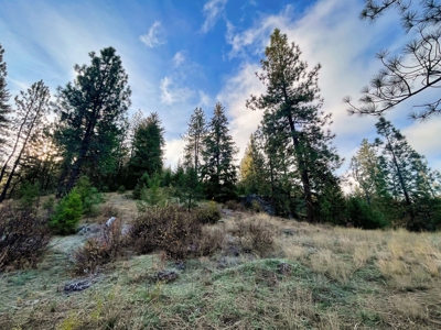 Well, Septic, driveway, building pad are in on 4.39 Ac! - image 32
