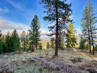 Well, Septic, driveway, building pad are in on 4.39 Ac! - image 36