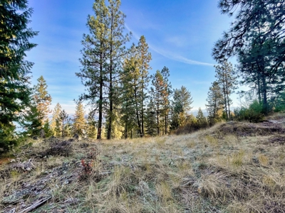 Well, Septic, driveway, building pad are in on 4.39 Ac! - image 34