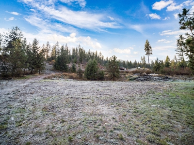Well, Septic, driveway, building pad are in on 4.39 Ac! - image 6