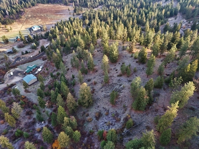 Well, Septic, driveway, building pad are in on 4.39 Ac! - image 19