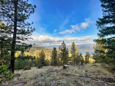 Well, Septic, driveway, building pad are in on 4.39 Ac! - image 33