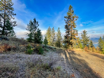 Well, Septic, driveway, building pad are in on 4.39 Ac! - image 31