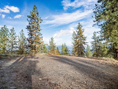 Well, Septic, driveway, building pad are in on 4.39 Ac! - image 7