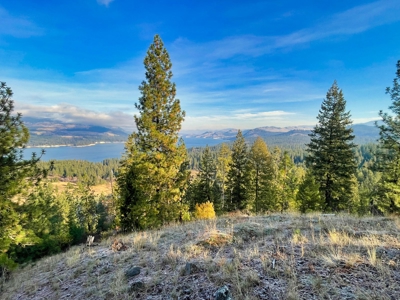 Well, Septic, driveway, building pad are in on 4.39 Ac! - image 43