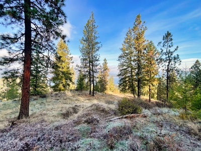 Well, Septic, driveway, building pad are in on 4.39 Ac! - image 35