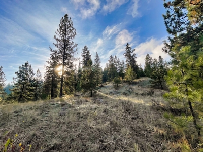 Well, Septic, driveway, building pad are in on 4.39 Ac! - image 42