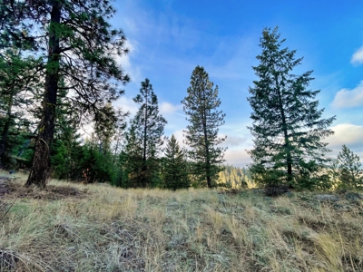 Well, Septic, driveway, building pad are in on 4.39 Ac! - image 37