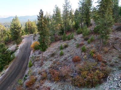 Well, Septic, driveway, building pad are in on 4.39 Ac! - image 24