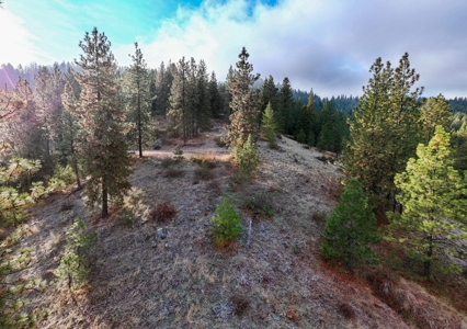 Well, Septic, driveway, building pad are in on 4.39 Ac! - image 13