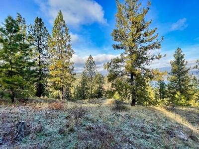 Well, Septic, driveway, building pad are in on 4.39 Ac! - image 39