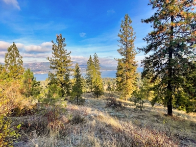 Well, Septic, driveway, building pad are in on 4.39 Ac! - image 38