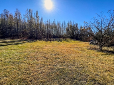 Country Home for Sale in Giles County, Tennessee - image 19