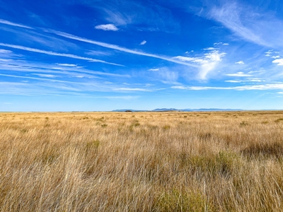 Country Home For Sale On Small Acreage Near Hobson Montana - image 13