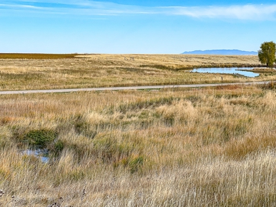 Country Home For Sale On Small Acreage Near Hobson Montana - image 11
