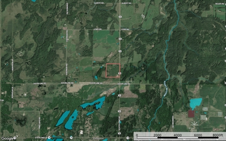 40 Acres of Hunting Land For Sale Outside of Finlayson MN - image 5