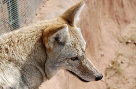 Wildlife West Nature Park For Sale in Edgewood, NM - image 36