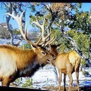 Wildlife West Nature Park For Sale in Edgewood, NM - image 15