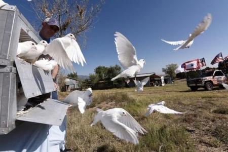 Wildlife West Nature Park For Sale in Edgewood, NM - image 35