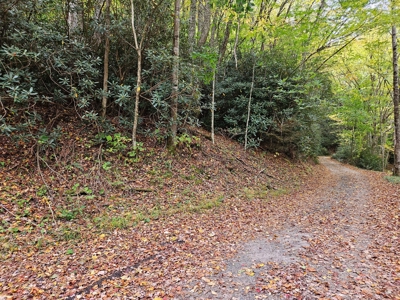 Land for Sale in Damascus VA - image 2