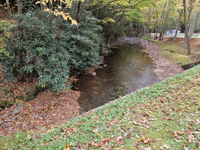Land for Sale in Damascus VA - image 3
