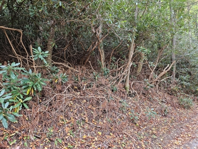 Land for Sale in Damascus VA - image 1