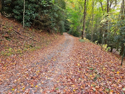 Land for Sale in Smyth County VA - image 4