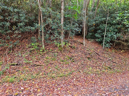 Land for Sale in Smyth County VA