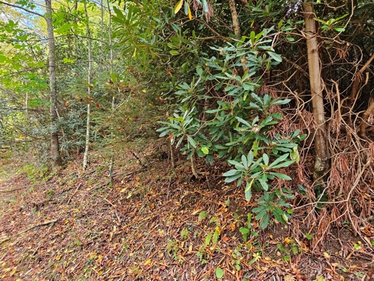 Land for Sale in Smyth County VA