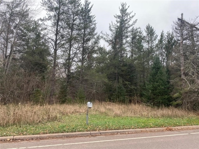 Reduced:45+ Acres of Land For Sale in Rutledge MN - image 2