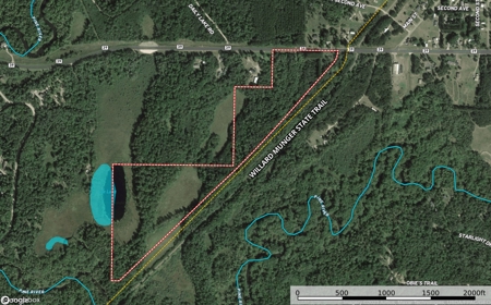 Reduced:45+ Acres of Land For Sale in Rutledge MN - image 9