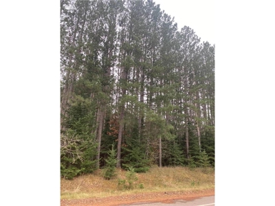 Reduced:45+ Acres of Land For Sale in Rutledge MN - image 6