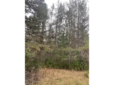 Reduced:45+ Acres of Land For Sale in Rutledge MN - image 3