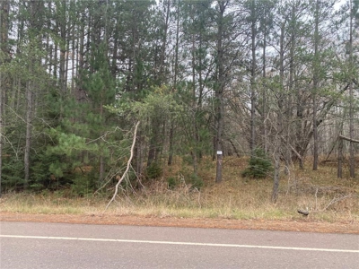 Reduced:45+ Acres of Land For Sale in Rutledge MN - image 7