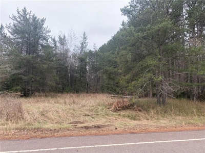 Reduced:45+ Acres of Land For Sale in Rutledge MN - image 5