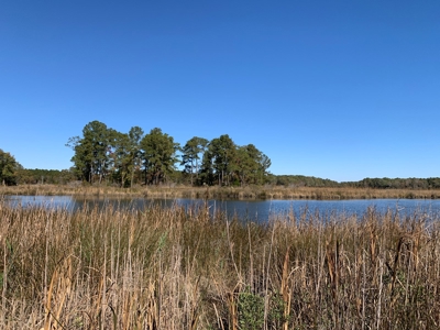 Land for Sale in Beaufort County, North Carolina - image 8