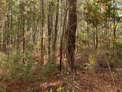 Land for Sale in Beaufort County, North Carolina - image 5