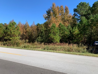 Land for Sale in Beaufort County, North Carolina - image 4