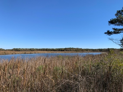 Land for Sale in Beaufort County, North Carolina - image 7