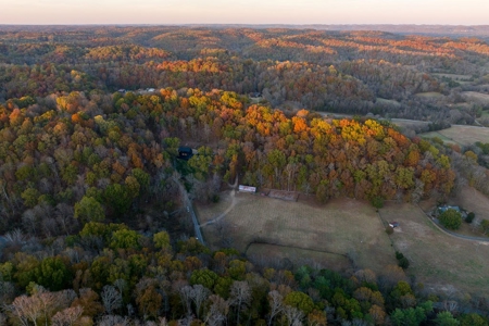 Luxurious Farmstead in Franklin, Tennessee - image 38