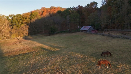 Luxurious Farmstead in Franklin, Tennessee - image 36
