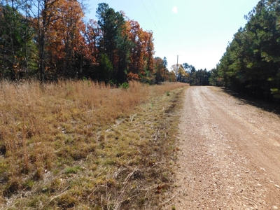 Acreage For Sale Lakeway Community Near Peel & Bull Shoals - image 7